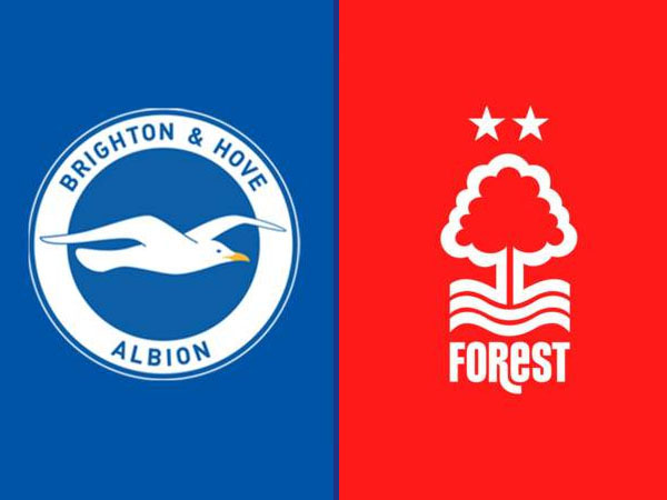 Update Terbaru Berita Tim Jelang Laga Brighton vs Nottingham Forest
