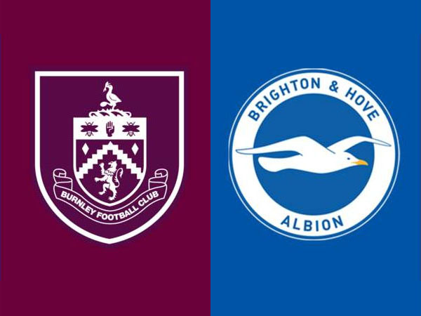 Update Terbaru Berita Tim Jelang Laga Burnley vs Brighton and Hove Albion