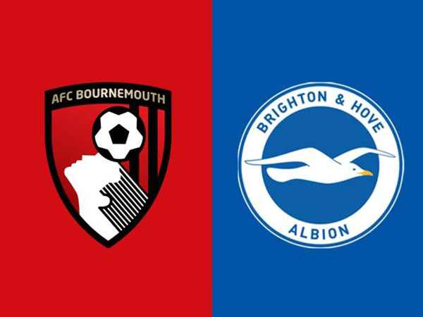 Update Terbaru Berita Tim Jelang Bournemouth vs Brighton and Hove Albion