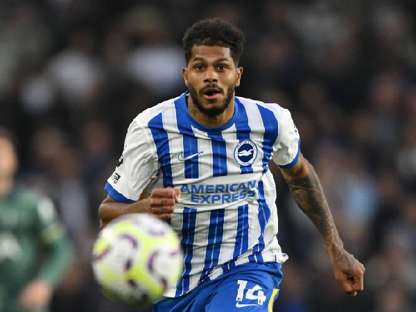 Striker muda Brighton, Georginio Rutter