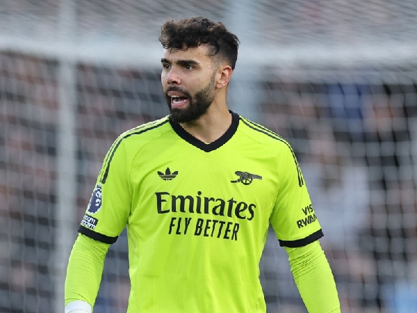 Kiper Arsenal, David Raya