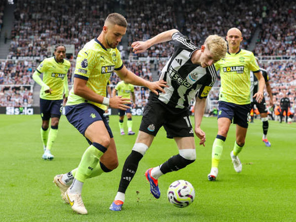Melirik Catatan Tim Tamu Jelang Southampton vs Newcastle di Premier League