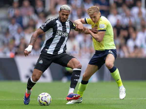 Melirik Catatan Tuan Rumah Jelang Southampton v Newcastle di Premier League