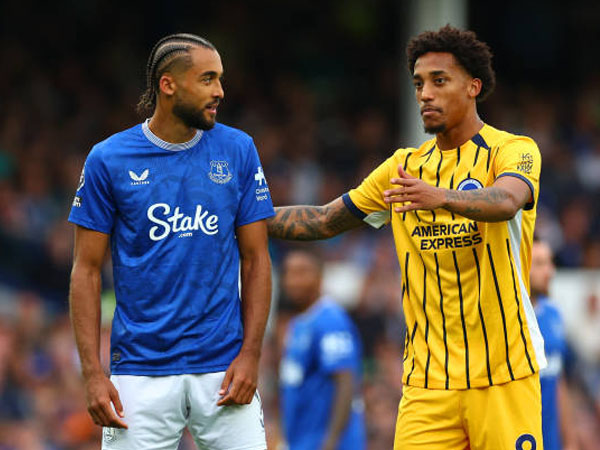 Update Kondisi Pemain Brighton dan Everton Jelang Laga Premier League