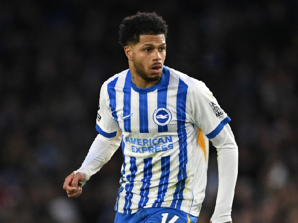 Chelsea mengincar dua pemain Brighton & Hove Albion, termasuk Georginio Rutter