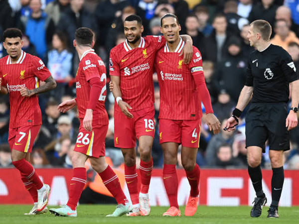 Liverpool ke Wembley, Virgil van Dijk Soroti Kontribusi Cody Gakpo