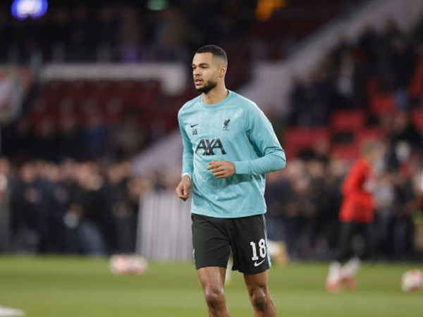 Cody Gakpo Optimis Liverpool Bisa Akhiri Musim dengan Sangat Baik