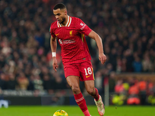 Cody Gakpo Waspadai Everton di Bawah David Moyes