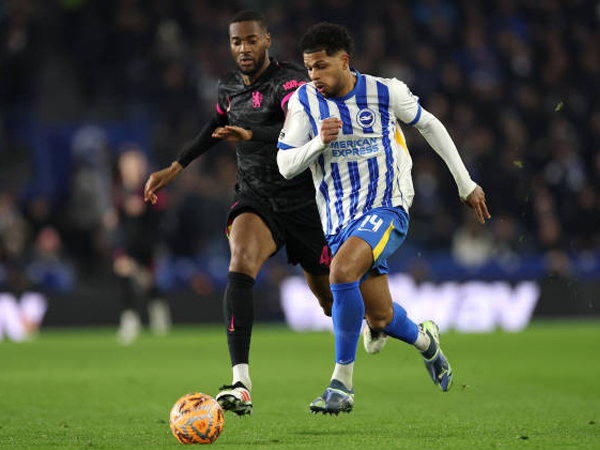 Update Kebugaran Pemain Jelang Laga Brighton vs Chelsea di Premier League