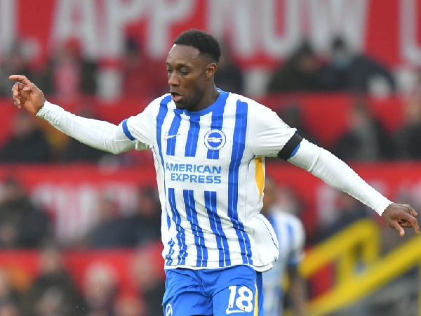 Striker Brighton, Danny Welbeck