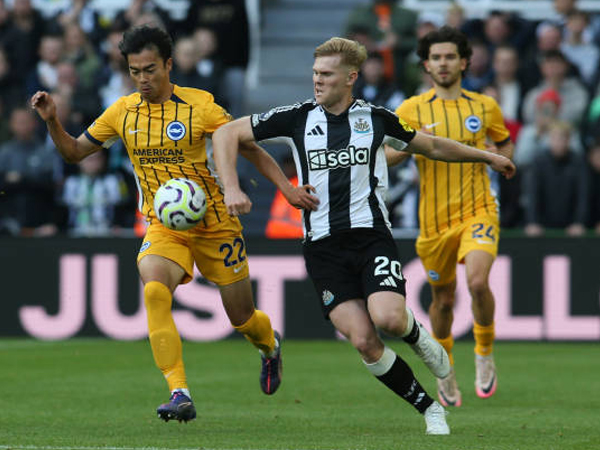 Fakta Menarik Jelang Laga Newcastle United vs Brighton di FA Cup