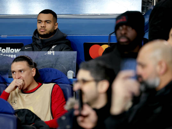 Liverpool Jamu Southampton, Cody Gakpo Diragukan Tampil