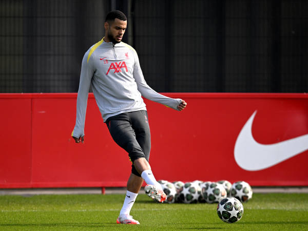 Liverpool Dapat Kabar Baik, Cody Gakpo Kembali Berlatih Jelang Lawan PSG