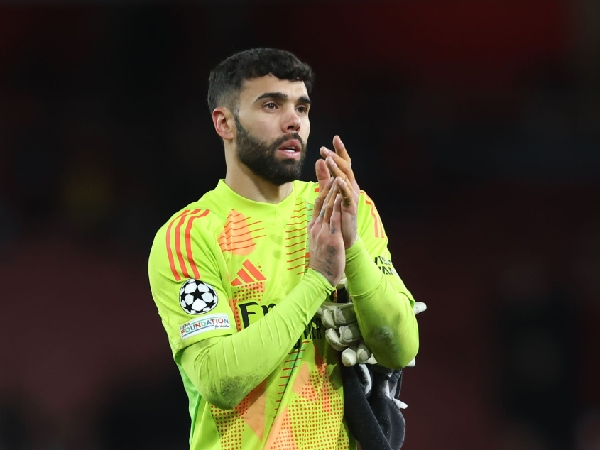 Kiper Arsenal, David Raya