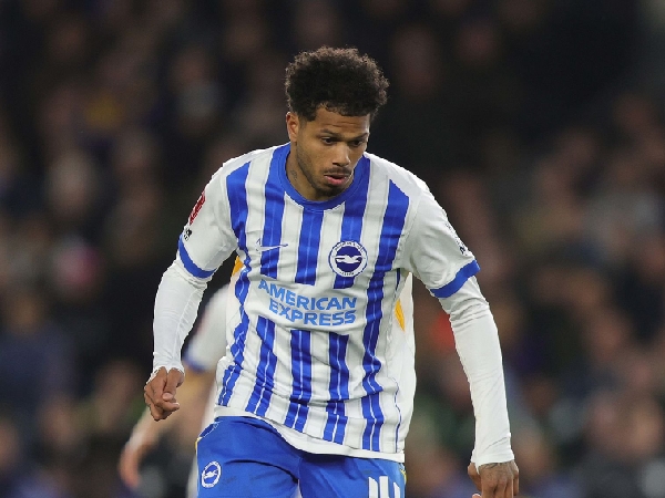 Striker Brighton, Georginio Rutter