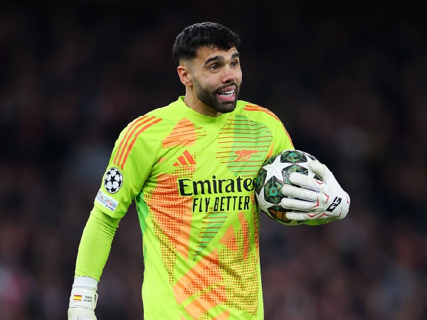 Kiper Arsenal, David Raya