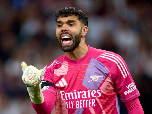 Kiper Arsenal, David Raya