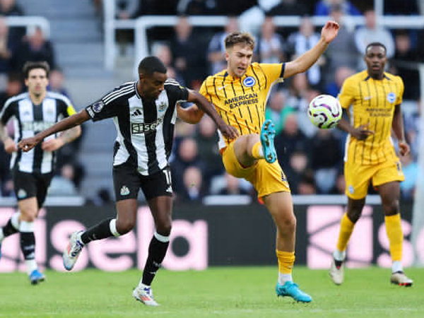 5 Fakta Menarik Jelang Duel Brighton vs Newcastle United di Premier League