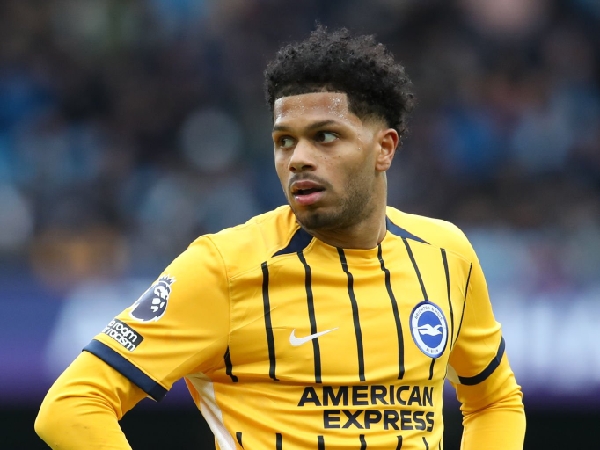 Brighton mendapat kabar baik soal kondisi Georginio Rutter