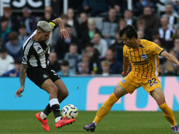 Melirik Catatan Tuan Rumah Jelang Brighton vs Newcastle di Premier League