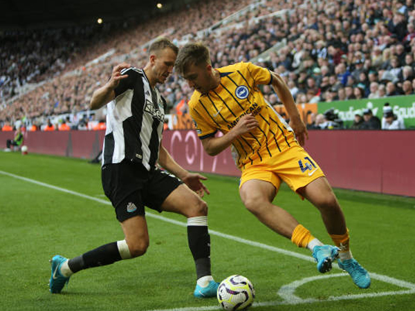 Update Terbaru Kondisi Tim Jelang Brighton vs Newcastle di Premier League