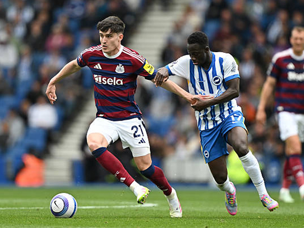 Brighton Bidik Posisi Kedelapan Setelah Imbang Kontra Newcastle