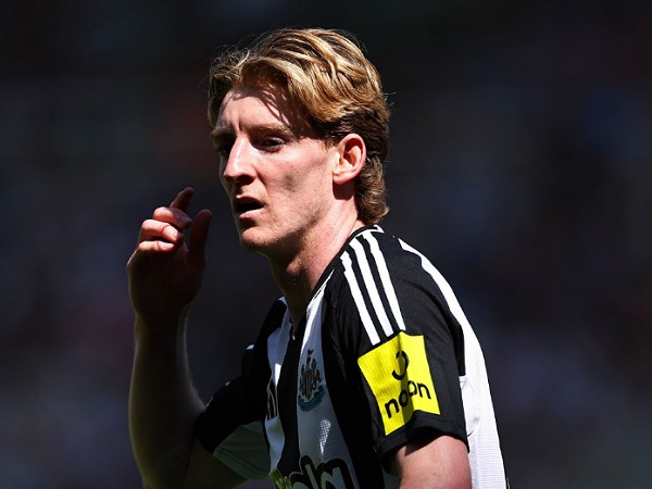 Arsenal mengincar winger Newcastle United, Anthony Gordon