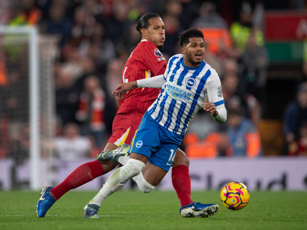 Update Terbaru Kondisi Tim Jelang Brighton vs Liverpool di Premier League