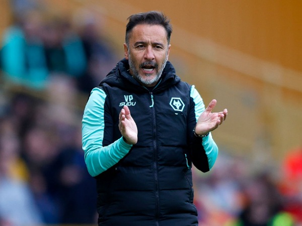 Manajer Wolves, Vitor Pereira
