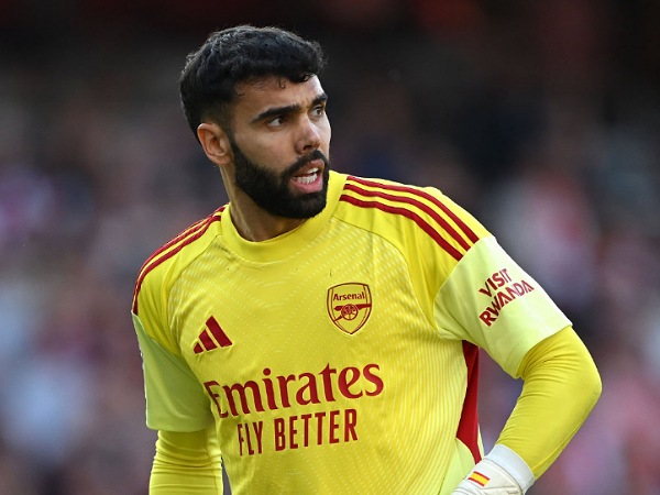 Kiper Arsenal, David Raya