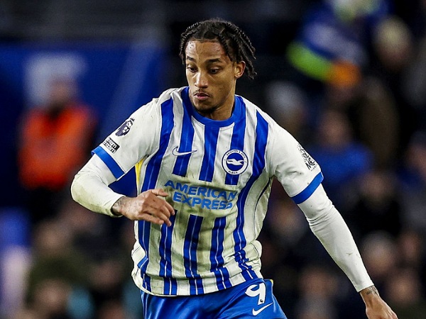 Joao Pedro siap berpisah dengan Brighton