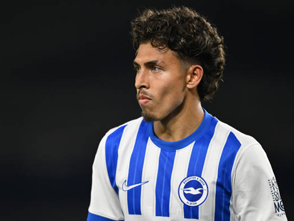 Jeremy Sarmiento Semakin Dekat Menuju Pintu Keluar Brighton