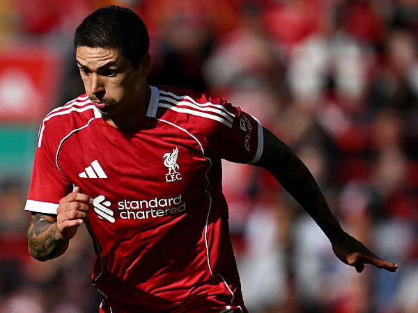 Darwin Nunez. (Foto: Liverpool FC)