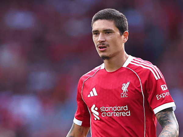 Mengapa Darwin Nunez Gagal Penuhi Ekspektasi di Liverpool?