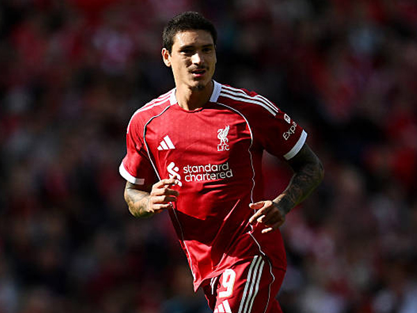 Statistik yang Mewarnai Perjalanan Darwin Nunez di Liverpool