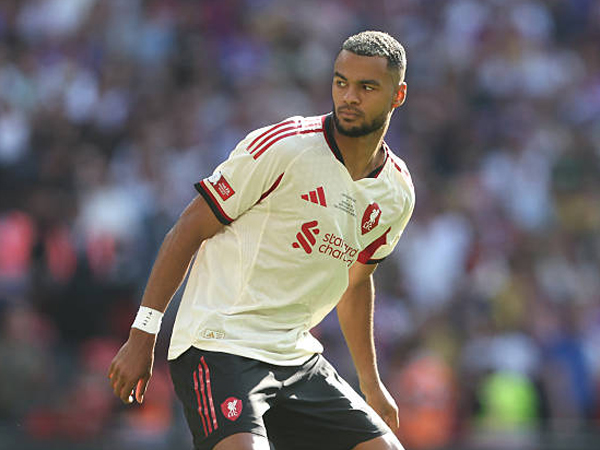 Cody Gakpo via gettyimages
