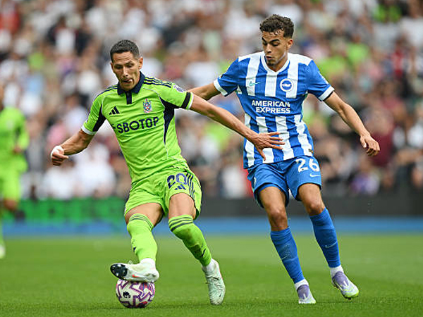 Hasil Imbang Brighton Melawan Fulham Diwarnai Kabar Duka