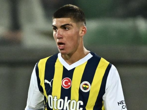 Yusuf Akcicek