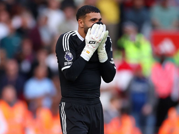 Kiper Arsenal, David Raya