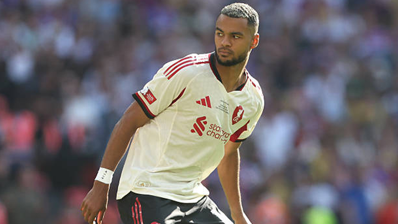 Cody Gakpo via gettyimages