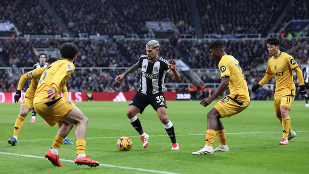 Newcastle United vs Wolves, 5 Fakta Menarik Jelang Laga Premier League