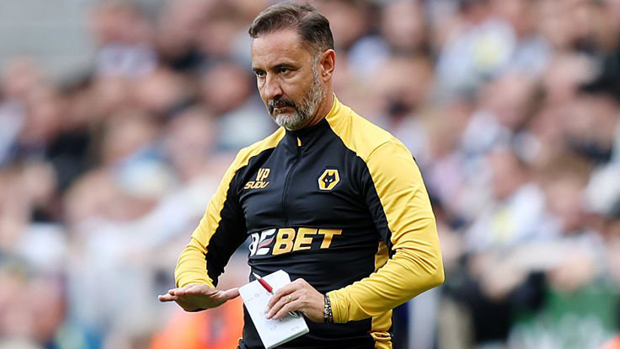 Vitor Pereira.