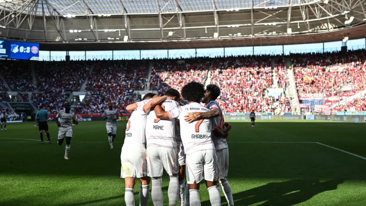 TSG Hoffenheim