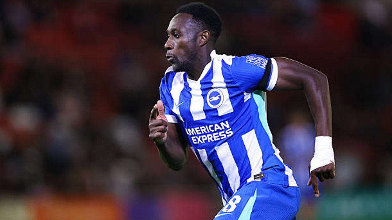 Catatan Statistik Jelang Duel Wolves vs Brighton di Premier League