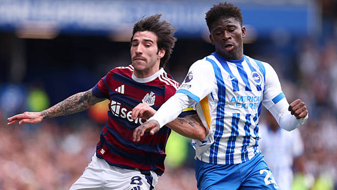 Catatan Statistik Jelang Brighton vs Newcastle United di Premier League