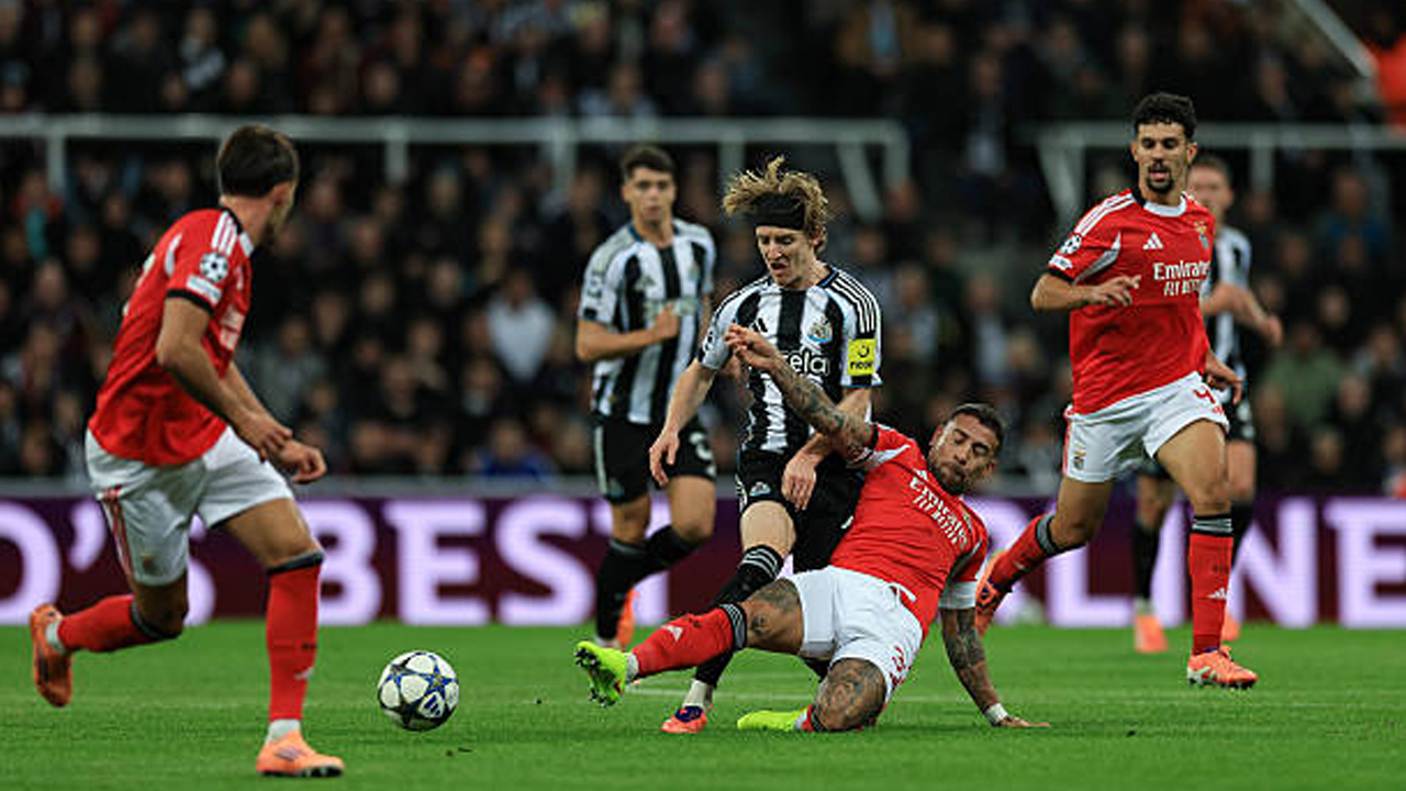 Hasil Pertandingan Champions League: Newcastle United 3-0 Benfica