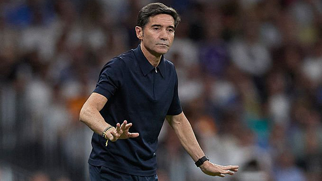 Marcelino Garcia Toral.