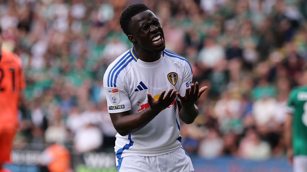 Leeds United Siap Dengarkan Tawaran untuk Willy Gnonto di Januari