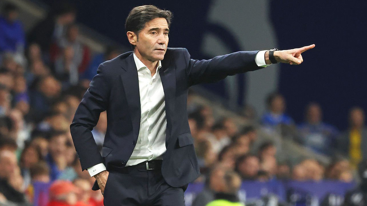 Marcelino Garcia Toral.