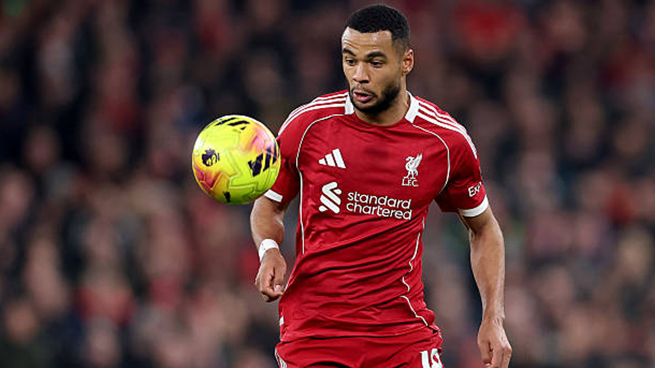 Liverpool Imbang, Arne Slot Beberkan Alasan Tarik Keluar Cody Gakpo